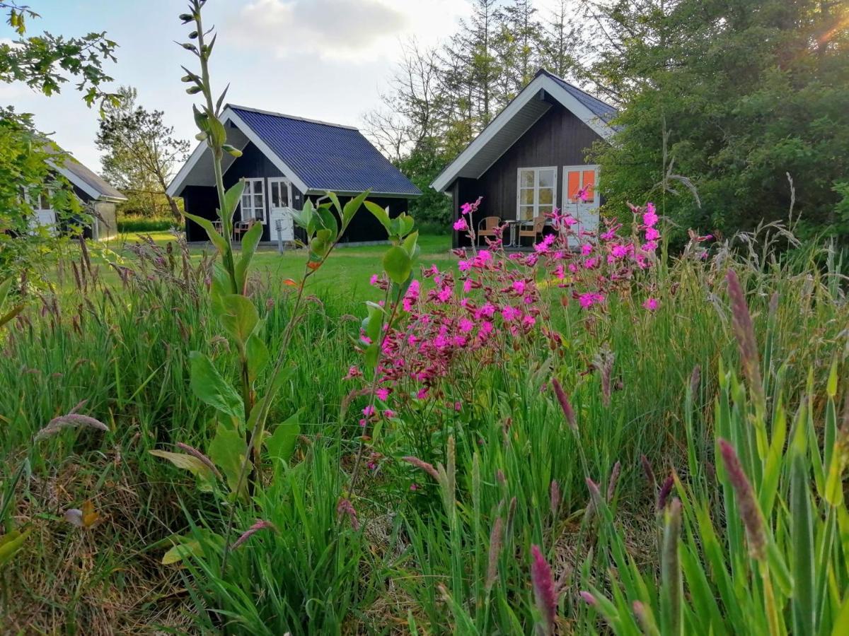 Lindvig - Ferie I Naturen Nymindegab Exteriör bild